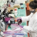 Jenna Fryer, an Oregon State graduate student, processes grape samples before analyzing the grapes for smoke compounds.